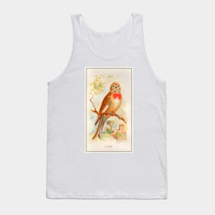 Linnet Tank Top